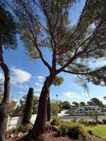 IMG_5593.jpeg