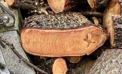 IMG_5916.jpeg