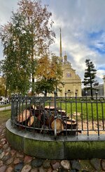 IMG_5919.jpeg