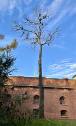 IMG_5930.jpeg