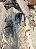 IMG_5934.jpeg