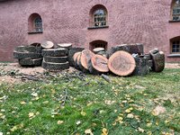 IMG_5940.jpeg
