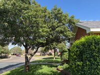 IMG_5635.jpeg
