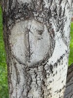 IMG_5639.jpeg