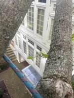IMG_0131.jpeg