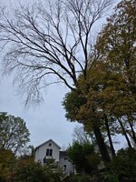 20251014_080606.jpg