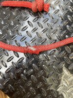 IMG_3368.jpeg