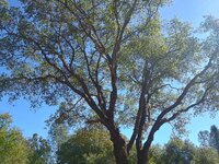 IMG_20251017_125757873_HDR.jpg