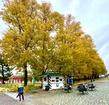 IMG_5950.jpeg
