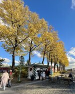 IMG_5963.jpeg