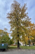 IMG_6287.jpeg