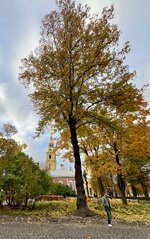 IMG_6289.jpeg