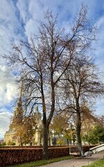 IMG_6304.jpeg