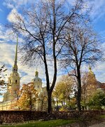 IMG_6306.jpeg