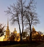 IMG_6311.jpeg
