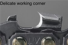 IMG_3875.jpeg