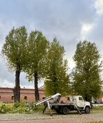 IMG_6415.jpeg