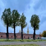 IMG_6421.jpeg