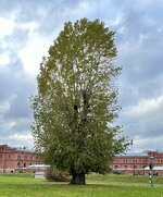 IMG_6417.jpeg