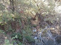 IMG_20251027_094002017.jpg