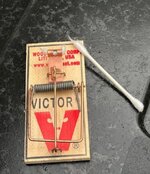 IMG_5777.jpeg