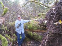 Cottonwood Blowdown 10-25-2025 trunk 008.JPG