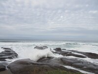 Yachats Dec 2025 007.JPG