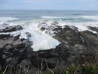 Yachats Dec 2025 026.JPG