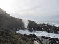 Yachats Dec 2025 031.JPG