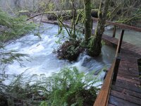 Dec. 19 2025 flooding rushing under boardwalk 013.JPG