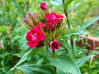 DSC03540 (1280x960).jpg