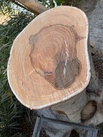 IMG_0602.jpeg