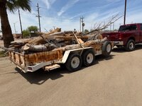 IMG_0605.jpeg