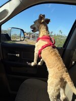 IMG_0693.jpeg