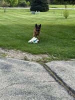 IMG_4473.jpeg