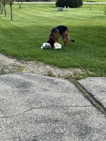 IMG_4472.jpeg