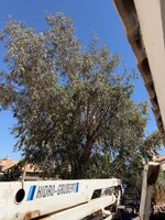 IMG_0719.jpeg