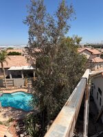 IMG_0720.jpeg