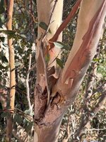 IMG_0721.jpeg