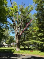IMG_2518.jpeg