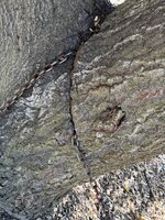 IMG_0820.jpeg