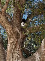 IMG_0818.jpeg
