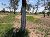 IMG_0843.jpeg