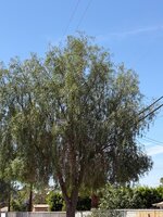 IMG_0842.jpeg