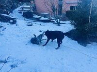 IMG_2208.jpeg