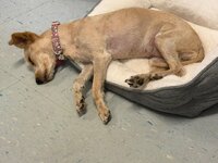 IMG_0860.jpeg