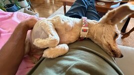 IMG_0895.jpeg