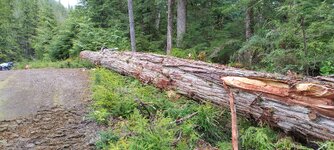 IMG_20260523_100029_MP.jpg