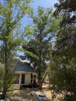 IMG_0910.jpeg