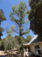 IMG_0913.jpeg